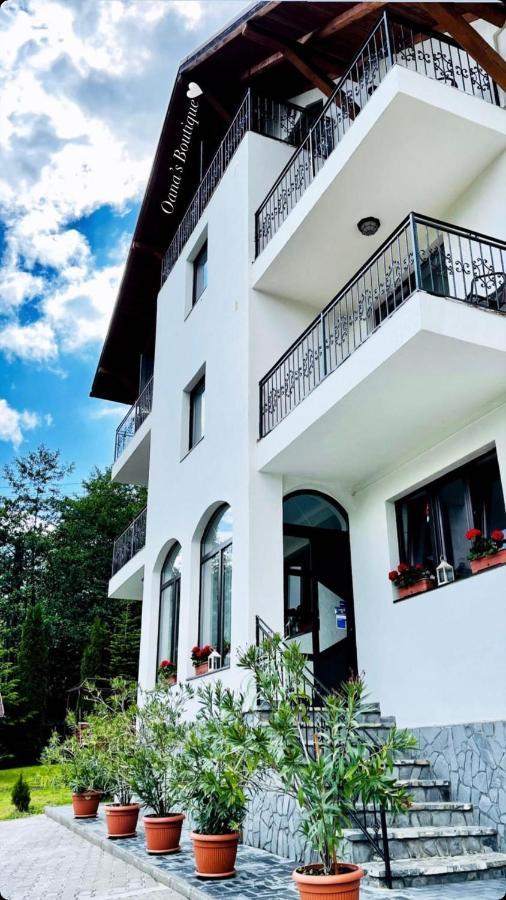 Guest house Oana'S Boutique 3*
